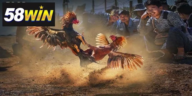 Sảnh SV388 sở hưu nhiều ưu điểm nổi bật