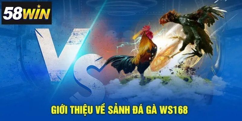 Khám phá sảnh WS168