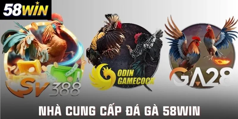 Tổng hợp các đối tác cung cấp trận đấu đà gà 58win